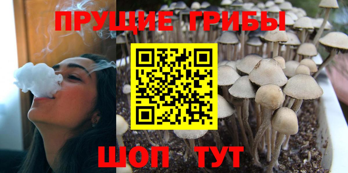 Ноябрьск  Псилоцибиновые грибы Psilocybe  Вход с VPN 